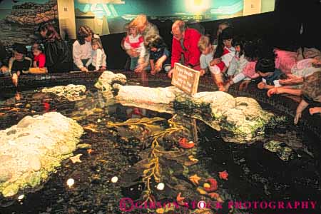 Stock Photo #10478: keywords -  aquarium aquariums california display displays fish francisco horz intertidal life marine municipal museum museums people public san steinhart tank touch touching water