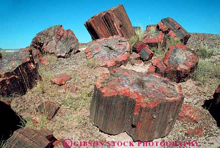 Stock Photo #17274: keywords -  ancient arizona deposit deposited deposits desert earth ecology environment expose exposed exposing forest formation formations geologic geological geology horz landscape layer layers mineralize mineralized monument national natural nature old park parks petrified petrify prehistoric preserve preserves process processes public rare rock rocks science scientific sediment sedimentary site sites southwest tree trees west western wood