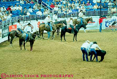 Stock Photo #17713: keywords -  america arena arenas arizona compete competing competition contest contests cowboy cowboys horses horz indoor indoors phoenix public recration rodeo rodeos sport sports west western