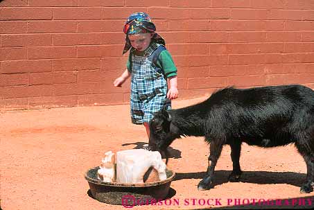 Stock Photo #17721: keywords -  animal animals arizona child children goat horz kid kids mammal pet pets petting phoenix public touch touched touches touching youth zoo zoos