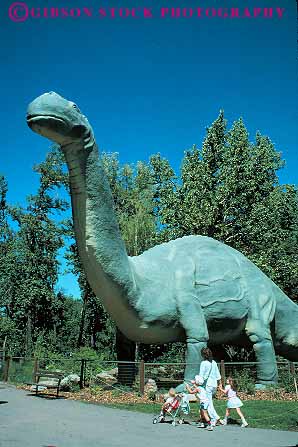 Stock Photo #12115: keywords -  alberta big calgary canada children dinosaur dinosaurs giant gigantic head huge imitates imitating imitation large lifelike long model mother neck park parks past prehistoric public realism realistic replicas replicate season simulate simulates summer tall vert walking zoo zoos