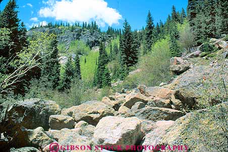 Stock Photo #18680: keywords -  alpine colorado field habitat horz in landscape mountain mountains national natural nature park parks public region rockies rocks rocky scenery scenic scree slope slopes state talus trees wild wilderness with