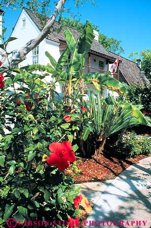 Stock Photo #12883: keywords -  american attraction attractions augustine blossom city destination florida flower flowers garden george hibiscus historic history old plant red saint site st st. street tourist travel vert