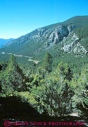 Stock Photo #17692: keywords -  charleston climate cut ecology forest forests habitat highway highways landscape landscapes mount mountain mountains mt mt. nevada plant plants road rough route rugged scenery scenic terrain vert wooded