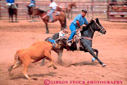 Stock Photo #17885: keywords -  action animal blur blurred calf cowboy cowboys cruelty game horseback horz livestock magdalena mexico motion movement new recreation rodeo rodeos rope roped ropes roping southwest sport west western