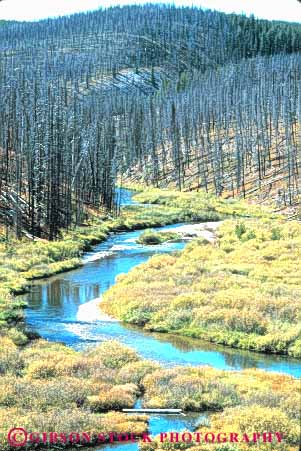 Stock Photo #11002: keywords -  burn burned burns char charred damage damaged dead destroy destroyed disaster disastrous ecological ecology fire forest forestfire impact impacted kill killed national park parks public ruined scare scared tree trees usa vert wildfire wyoming yellowstone