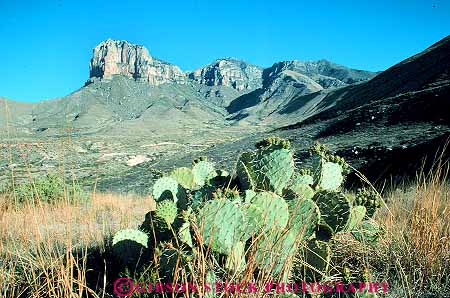 Stock Photo #17166: keywords -  arid barren cactus desert deserts dry guadalupe horz hot landscape national park parks public scenery scenic south texas