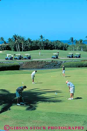 Stock Photo #13142: keywords -  big brown course destination francis game golf golfer golfers golfing hawaii hawaiian island islands lawn leisure men outdoor outside play playing recreation resort resorts sport travel vacation vert