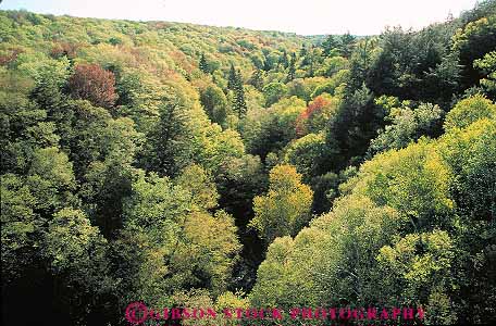 Boreal Forest - Michigan Natural Features Inventory