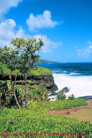 Stock Photo #13905: keywords -  and big cliff cliffs coast coastal hana hawaii hawaiian island islands kauai landscape maui mauia oahu ocean palm plant plants rough scenery scenic sea seashore shore shoreline steep surf tree trees tropic tropics vert water waves