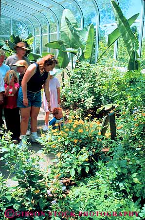 Stock Photo #12646: keywords -  building butterflies butterfly butterflys child children city enclosed enclosure greenhouse hogle in insect insects lake lush park parks people public room salt see space summer touch utah vert zoo zoos