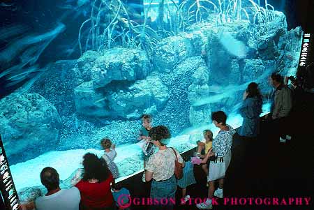 Stock Photo #13995: keywords -  aquarium aquariums big chattanooga display exhibit horz large marine people public salt sea tank tennessee water