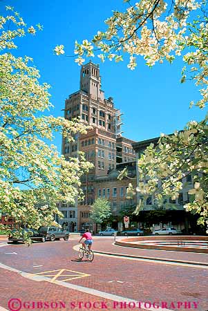 Stock Photo #18492: keywords -  asheville bicycle bicycling bicyclist business carolina center centers commercial district dogwood downtown flower flowering flowers north people person season spring town towns trees urban vert white