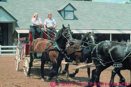 Stock Photo #14081: keywords -  blue buck corral country drive driver drives grass horse horses horz kentucky lexington park parks power powerful public show showing shows state team wagon wagons