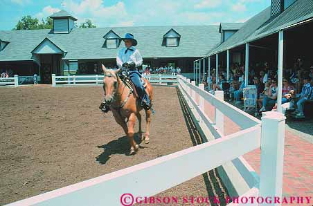 Stock Photo #14082: keywords -  blue breed corral country display displaying displays grass horse horses horz kentucky lexington park parks public ride rider riders riding show showing shows state