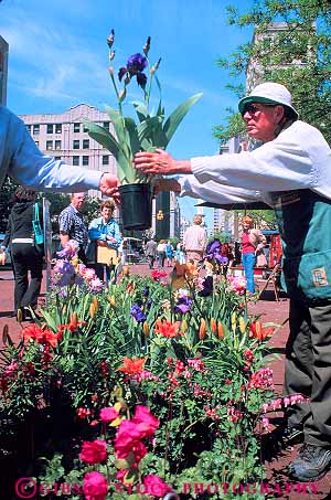 Stock Photo #17102: keywords -  business buy buying buys customer customers farmer farmers flower flowers indiana indianapolis man market markets outdoor outdoors outside people person plant plants potted produce retail sell seller sellers selling sells sidewalk small summer vending vendor vendors vert