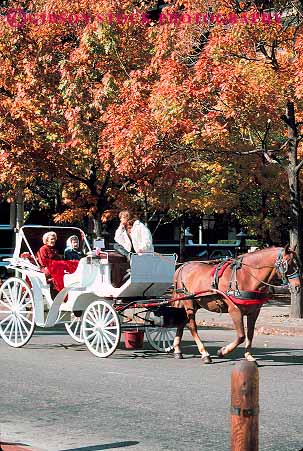 Stock Photo #11190: keywords -  autumn carriage fall friends horse horses older pair pennsylvania philadelphia season tour tourist tourists tours two vert wheel wheels women