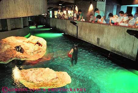 Stock Photo #17039: keywords -  aquarium aquariums boston display displays employee england horz in indoor indoors interior large massachusettes massachusetts museum museums new ocean people person public region sea tank water work worker workers working