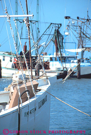 Stock Photo #14723: keywords -  biloxi boat boats coast coastal fishing gulf harbor harbors in marina marinas mississippi port ports region shore shoreline south southern vert