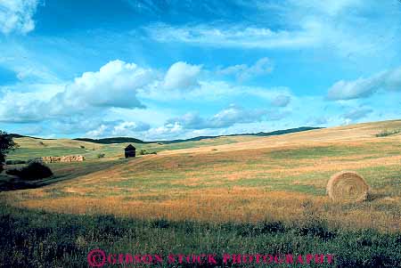 Stock Photo #19125: keywords -  agriculture custer dakota farm farms field fields great hay horz landscape pasture plains region scenery scenic south state