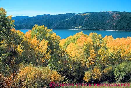 Stock Photo #14825: keywords -  aspen autumn color fall foliage forest horz idaho landscape mountain mountains region river rivers rocky scenery scenic season snake state tree trees water yellow