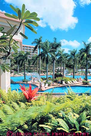 Stock Photo #14982: keywords -  destination hawaii hawaiian hotel hotels island islands kauai landscape lihue marriott people pool pools resort resorts scenery scenic swim swimming tourist tourists travel traveler travelers tropic tropical tropics vacation vacationing vacations vert