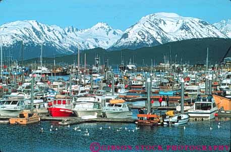 Stock Photo #10389: keywords -  alaska boat boats coast coastal harbor harbors homer horz marina marinas mountains ocean sea seashore shore shoreline snow