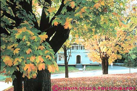 Stock Photo #15156: keywords -  autumn barre color england fall foliage homes horz maple neighborhood new region residential season street streets town towns tree trees vermont