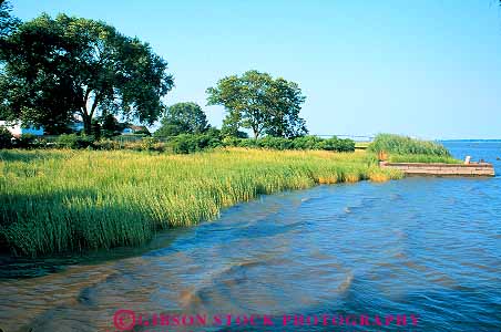 Stock Photo #15277: keywords -  castle coast coastal delaware estuaries estuary grass grasses habitat habitats horz marsh marshes new plant plants river rivers saltmarsh shore shoreline tidal tide tides tidewater tidewaters water wetland wetlands