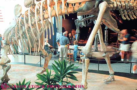 People At Dinosaur Exhibit At Science Museum Of Minnesota St Paul ...