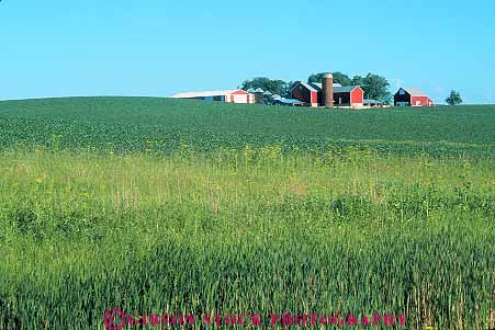 Stock Photo #13895: keywords -  agriculture anamosa barn barns building buildings farm farming farms field fields great horz iowa landscape plain plains region scenery scenic silo silos