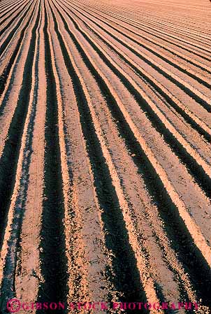 Stock Photo #15661: keywords -  agriculture bare barren california desolate dirt disked earth empty field fields furrow furrowed furrows ground line linear lines parallel pattern patterns plowed row rows soil turned unplanted vert