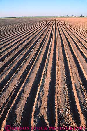 Stock Photo #15662: keywords -  agriculture bare barren california desolate dirt disked earth empty field fields furrow furrowed furrows ground line linear lines parallel pattern patterns plowed row rows soil turned unplanted vert