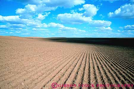 Stock Photo #15663: keywords -  agriculture bare barren desolate dirt disked earth empty field fields furrow furrowed furrows ground horizon horz landscape line linear lines parallel pattern patterns plowed row rows soil turned unplanted washington