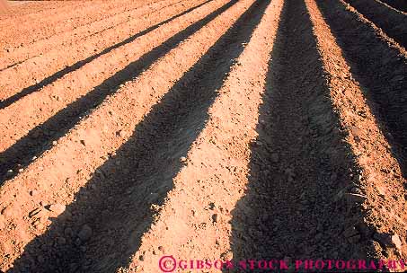 Stock Photo #15664: keywords -  agriculture bare barren california desolate dirt disked earth empty field fields furrow furrowed furrows ground horz line linear lines parallel pattern patterns plowed row rows soil turned unplanted