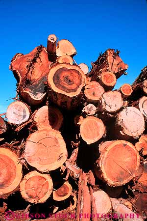 Stock Photo #14581: keywords -  california circle circles circular company deck end ends harvest harvested log logging logs lumber mill outdoor outside pattern patterns redwood round stack stacks tree trees vert willits