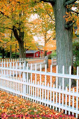 Stock Photo #16934: keywords -  autumn barrier barriers border borders boundaries boundary building color edge edges england fall fence fenced fences fencing foliage geometrical geometry hampshire landscape landscaped landscaping leaves line linear lines new orford paint painted parallel pattern patterns picket property region regular repeat repeated repeating repeats repetition season state structure structures vert wood wooden yard