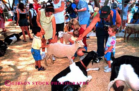 Stock Photo #3157: keywords -  activity amusement animal annual attraction california child children event fair families familiy family festival fun goat horz kid kids park parks people person petting play public sacramento state summer touch zoo