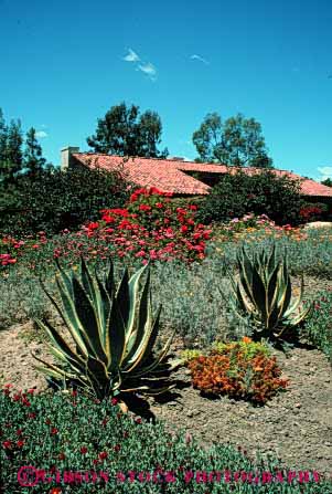 Stock Photo #4075: keywords -  agave conservation demand drought dry garden home house ice landscape low plant residence tolerant vert water